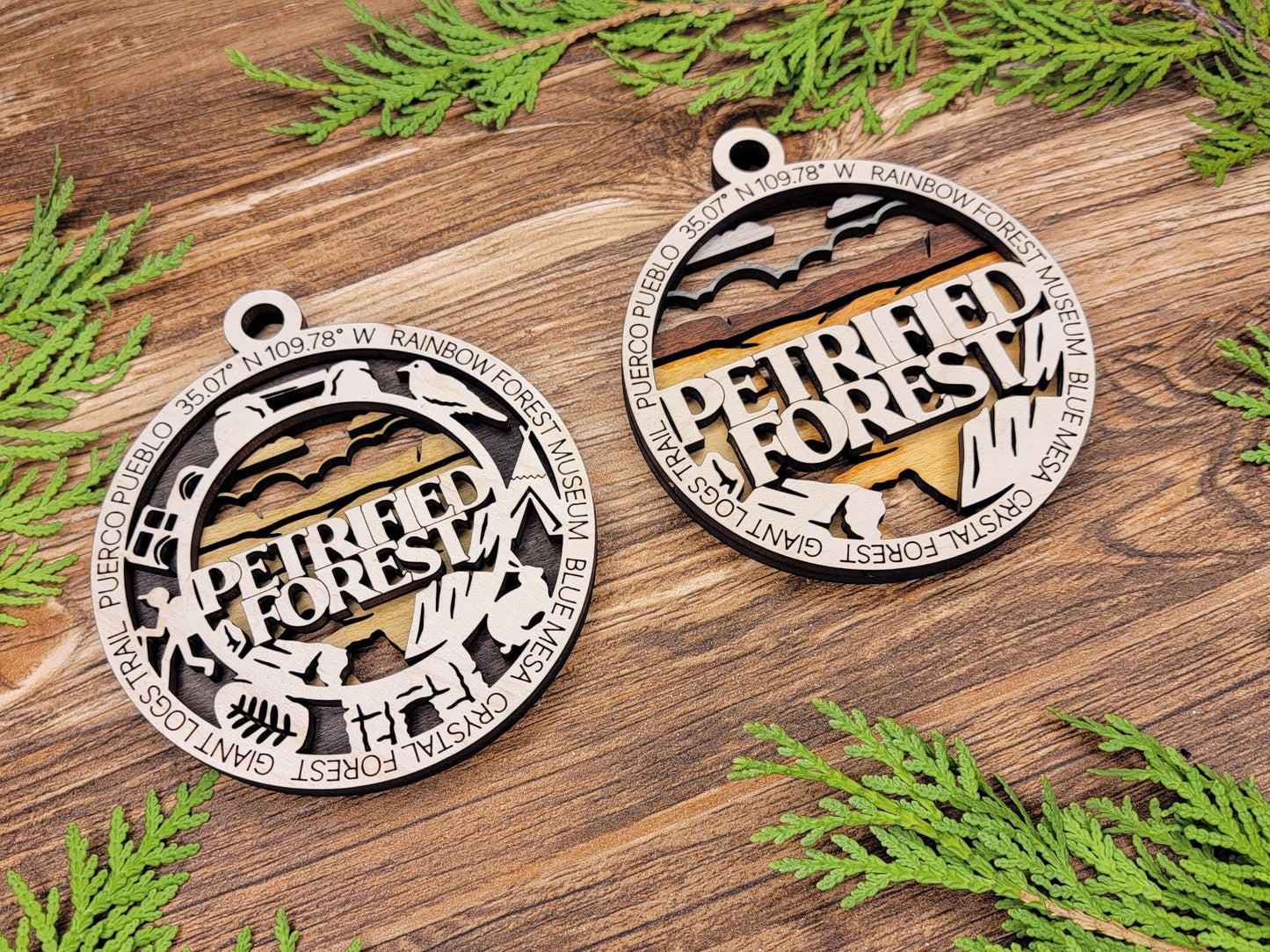 Petrified Forest National Park Ornaments